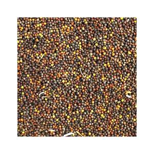 100% graines de colza crues naturelles pures décortiquées produit agricole - Product Image 1