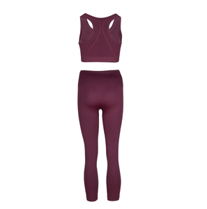 Último diseño Yoga Set Fitness Sports 2 piezas gimnasio ropa mujer gimnasio ropa deportiva Yoga traje para la venta - Product Image 3