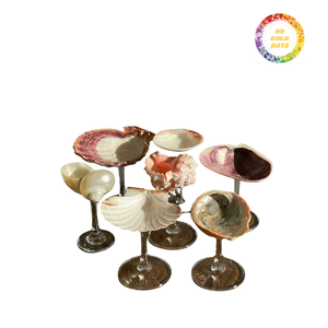 Adorno de concha marina natural en la base del tallo para instalaciones decorativas, lugares temáticos de playa e ideas contemporáneas de estilo de mesa - Product Image 4