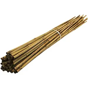 Poteaux en bambou traités au vietnam/poteaux en bambou de haute qualité et à bas prix/poteaux en bambou pour clôture vacances
