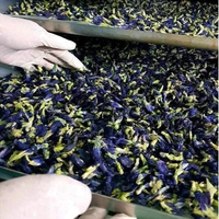 Meilleure vente de thé aux fleurs du Vietnam thé bleu naturel thé séché aux fleurs de pois papillon
