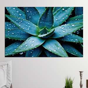 Póster Impreso en Lienzo de Plantas Suculentas con Gotas de Agua, Arte Botánico Moderno, Lienzo Enrollado - Product Image 1