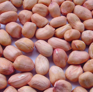 Arachides rouges à peau rouge, riches en valeur nutritionnelle, origine Chine, en vente - Product Image 6
