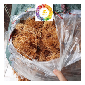 Mousse de mer irlandaise séchée de qualité supérieure Eucheuma Cottonnii Algues propres Grande taille Qualité naturelle Idéal pour la vente de salade de mousse de mer - Product Image 3