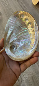 Concha de abulón decorativa, concha de mar natural pulida para productos artísticos hechos a mano de Vietnam - Product Image 6