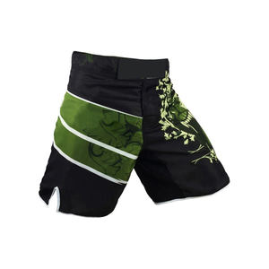 2024 nouvelle mode Logo personnalisé Design personnalisé ajustement confortable pour Kickboxing Arts martiaux bjj formation compétition Shorts - Product Image 2