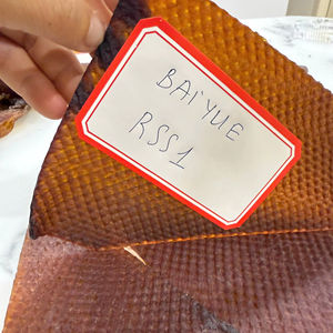 Caucho natural | Moldeo rotacional de alta calidad | Piezas automotrices | Marca BAIYUE | Envío rápido | Proveedor confiable de Vietnam - Product Image 2