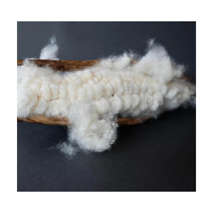 EXPORTADORA GRANDES CANTIDADES DE ALTA CALIDAD KAPOK POD DE PROVEEDORES VIETNAMIENTOS/Sra. Thi - Product Image 4