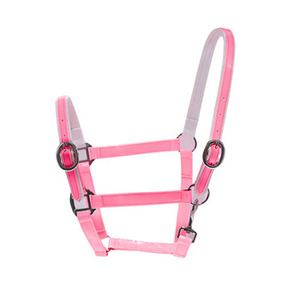 HE5600 English Dressage Horse Halter Australian Saddle <b>Style</b> <b>Gel</b> Padded Comfort Nylon Material Custom Logo Option 100% QC NYLON - Product Image 1