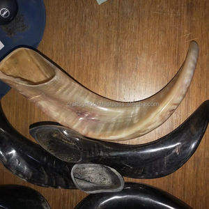Yemenite ฮอร์น shofar สำหรับศาสนาขายส่งใช้ในราคาจากอินเดีย - Product Image 6