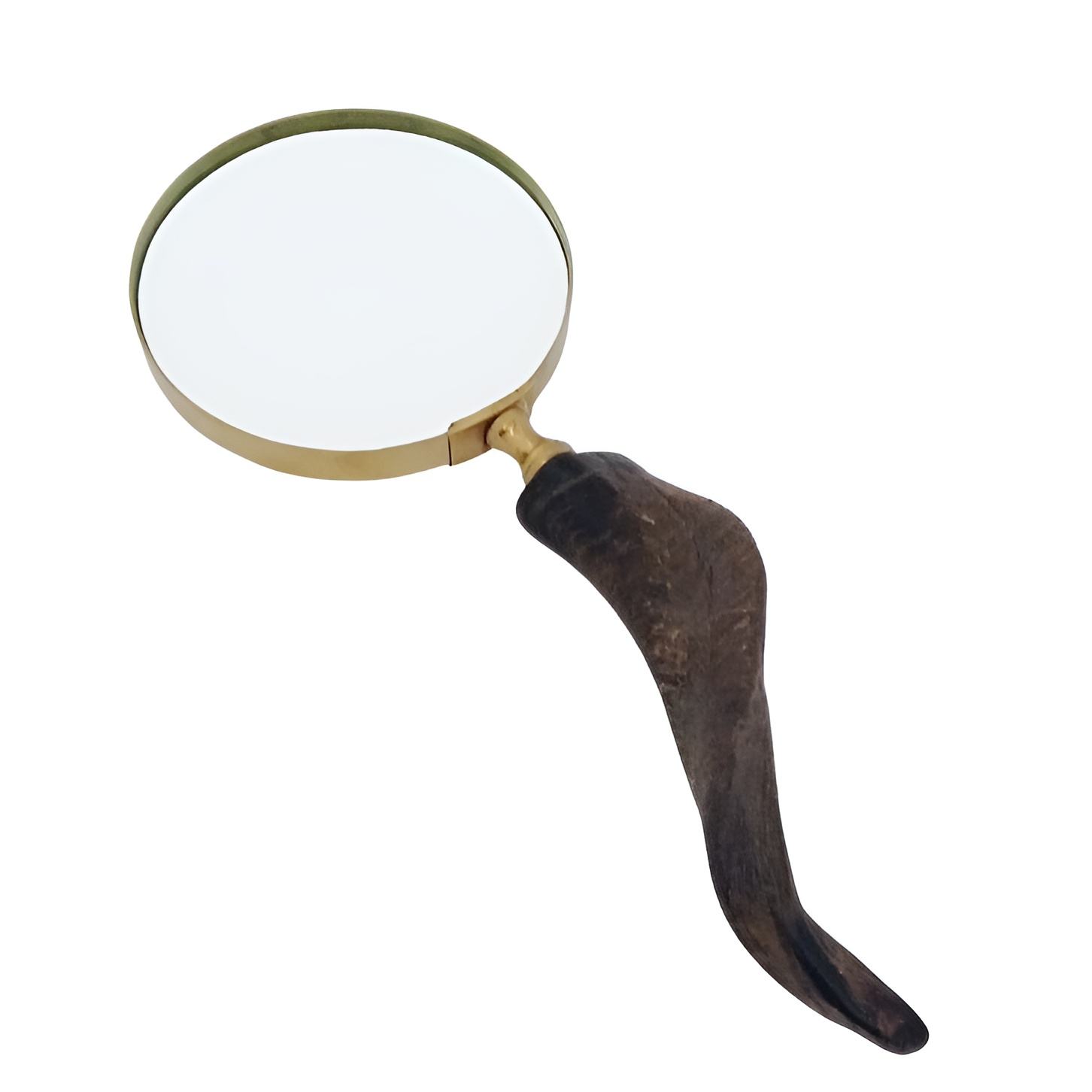 ตามที่แสดง