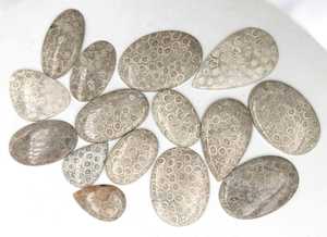 หินอัญมณีทรงหลวมและอัญมณีอัญมณีอัญมณีอัญมณีสีขาวปะการังฟอสซิลธรรมชาติทำด้วยมือขนาดตามสั่ง - Product Image 2