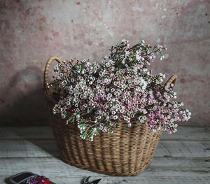 ตะกร้าเก็บของหวายธรรมชาติทอมือพร้อมหูหิ้ว ตะกร้าหวายสไตล์เรียบง่ายสำหรับจัดเก็บของใช้ในบ้าน ซักผ้า และปิกนิก จากเวียดนาม - Product Image 6