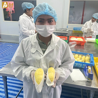 Diepvries Thaise Durian Monthong Export VS Zuid-Korea Wereldwijd Vers Gesneden Fruit 500g 14 Dagen Houdbaarheid Wereldmarkt A4 Fruit