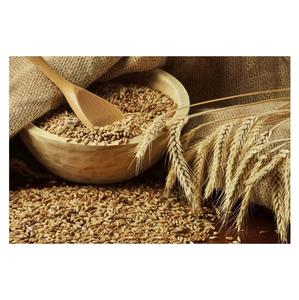 Prix de gros, grains de blé doux naturels, stock en vrac disponible à la vente - Product Image 1