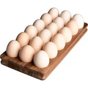 Döllenmiş tavuk yumurtası/Cobb 500 Broiler tavuk yumurtası/taze Cobb 700 verimli yumurta ucuz fiyat
