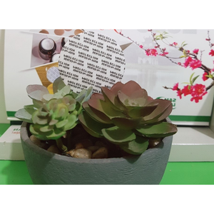 จุกปิดขวดแบบสุญญากาศเกรดอาหารพร้อมฝาปิดแบบซีลที่ไวต่อแรงกดไม่รั่วผู้ผลิตในเวียดนาม - Product Image 3