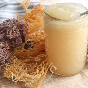 ¡Oferta por tiempo limitado! Gold Sea Moss 100% Organic & Wildcrafted Energy & Skin Glow Irish Sea Moss Raw & Gel Mejor precio de exportación - Product Image 4