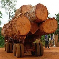 Bûches de bois d'eucalyptus australiennes et bois scié Blackbutt et gomme tachetée