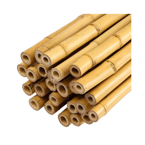 Poteaux en bambou naturels pour la construction et l'encadrement extérieur Poteaux en bambou durables pour la construction à long terme - Product Image 6