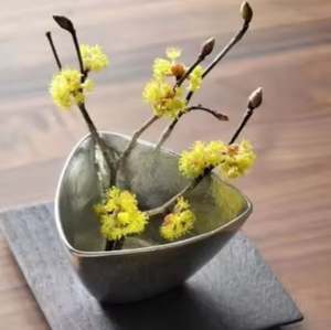 ชามขนมโลหะธีมผลไม้เป็นมิตรกับสิ่งแวดล้อมและทนความร้อนสำหรับตกแต่งบ้านห้องครัวงานแต่งงานใหม่ล่าสุด - Product Image 3