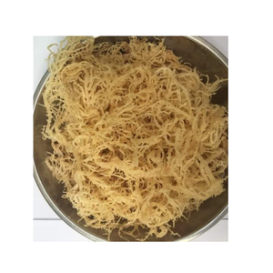 Algues Eucheuma Cottonii séchées, légumes marins naturels pour la production d'agar et de carraghénanes - Product Image 3