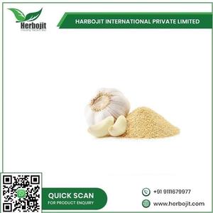 Extrait d'ail lyophilisé de qualité supérieure 100% pur naturel de qualité alimentaire 25 KG pour l'assaisonnement des aliments en provenance d'Inde - Product Image 6