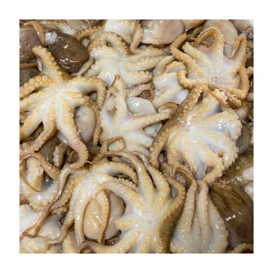 PULPO BEBÉ CONGELADO ENTERO LIMPIADO INDIVIDUAL RÁPIDO CONGELADO BUENA CALIDAD ORIGEN - Product Image 6