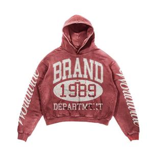 OEM Custom DTG Graphic Print 100% Cotton Heavyweight Fleece 500 GSM Windproof Hoodie No Drawstrings Loose Fit Oversized Drop - Product Image 3