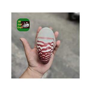 การตกแต่งเปลือกหอยที่ประณีตทำด้วยมือรูปเปลือกหอยธรรมชาติอุปกรณ์ตกแต่งบ้านหัตถกรรมขายส่งเวียดนาม - Product Image 4