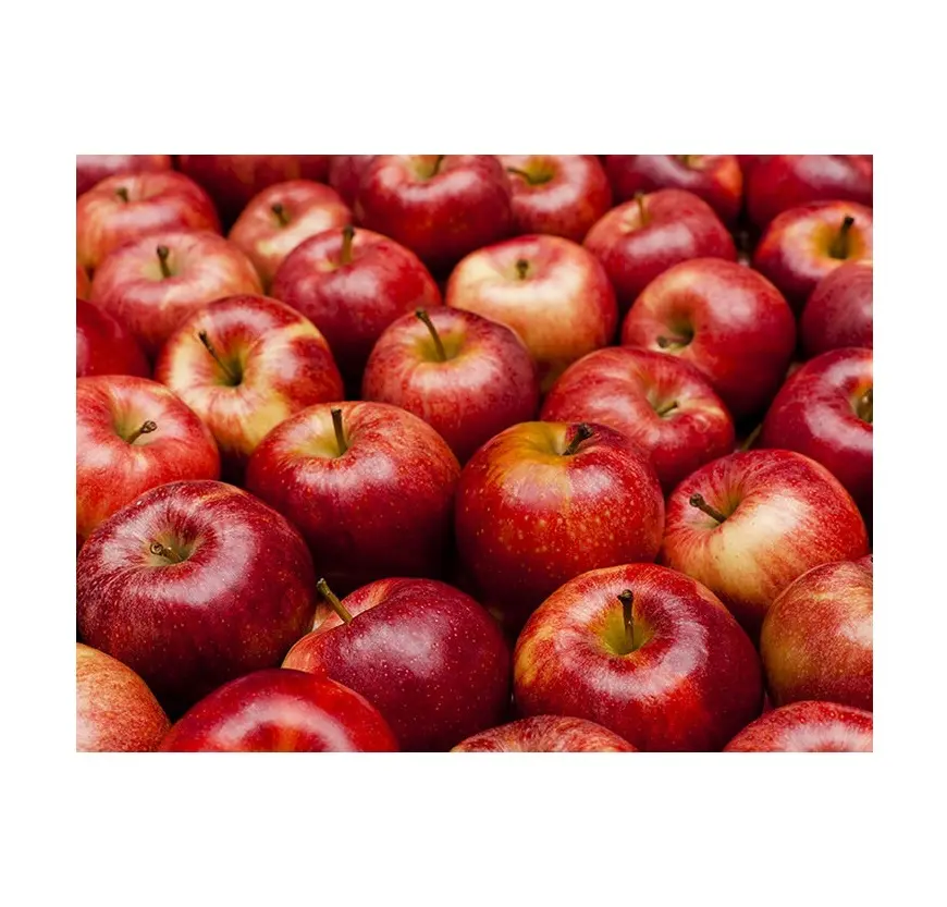 Línea de manzana fresca roja, venta de Francia