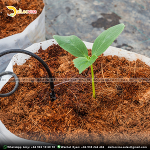 SAC DE TOURBE DE COCO NOIX DE COCO PITH FIBRE DE TOURBE 100 LITRES SOL POUR JARDIN ET PLANTES - Product Image 5