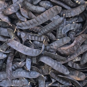 100% vainas de GLEDITSIA secas naturales ricas en saponinas para limpieza de hierbas y productos para el cabello orgánicos - Product Image 4