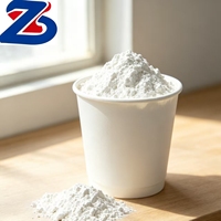 Poudre d'hydroxyde de calcium à haute activité, chaux hydratée à grande surface pour applications industrielles