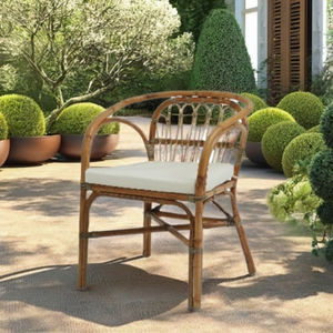 Dolvio Skin <b>Rattan</b> Comfortable Stylish Modern Design <b>Armchair</b> <b>Outdoor</b> Furniture for Hotel Apartment Use Durable Handcrafted High - Product Image 2