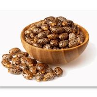 Achetez des graines de ricin en ligne en vrac, germination rapide, 100% naturelles, graines de ricin pures avec une durée de conservation de 2 ans pour la cuisson
