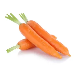 Harga wortel segar Carrotfresh wortel kemasan grosir ekspor 4.5kg sayuran segar wortel Premium