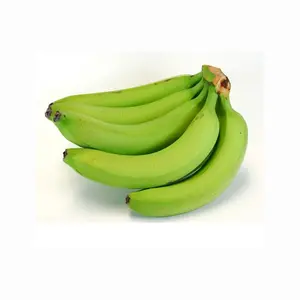 Hochwertige 100 % grüne frische Cavendish Banane Export Banana Internationaler Standard bester Preis natürliche hohe Qualität grün gelb