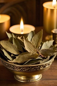 Cao Cấp Khô Quảng Cáo Xử Lý Bay Laurel Lá Gia Vị ISO Chứng Nhận 5-10Cm Miếng Cho Nấu Ăn Cà Ri Biryani Thảo Dược Sử Dụng 25Kg Bale - Product Image 3