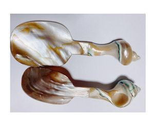 Cuchara de perlas Cuchara nacarada Cuchara hecha de concha de nácar 100% para caviar PRECIO AL POR MAYOR - Product Image 2