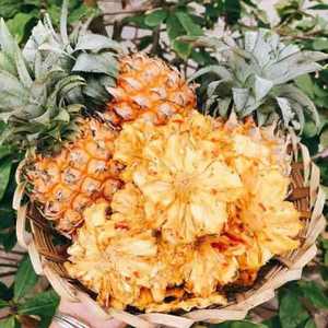 Pina séchée déshydratée avec sel et piment dans un sac sous vide de taille personnalisée - Product Image 2