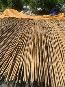 Top Quality <b>Rattan</b> Material - 100% Natural <b>Rattan</b> <b>Cane</b>/<b>Rattan</b> Pole Made in Vietnam - Product Image 4