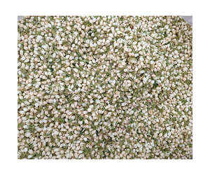 ดอกตูมดอกมะลิอบแห้งแบบสดใหม่ - Product Image 3