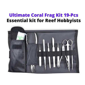 Kits de dissection chirurgicale en acier de qualité supérieure, dernier produit, fabrication artisanale, par Surgi Right - Product Image 3