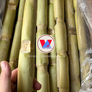 Caña de azúcar congelada a base de plantas para desintoxicación etiqueta limpia beneficios de bienestar - Product Image 2