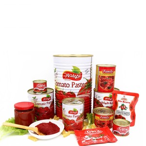 Entrega rápida para pasta de tomate enlatada Ingredientes alimenticios Ketchup Lata Sobres de pie Salsa de tomate con ofertas de compra a granel - Product Image 6