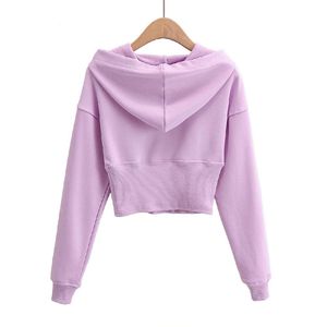 Sweat-shirt à capuche court pour femme, manches longues, couleur unie, tricoté, respirant, pour l'automne - Product Image 2