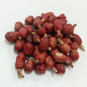 SEMILLA ALPINIA GALANGAL - Product Image 1