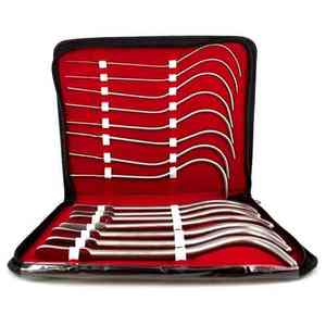 Kit de Instrumentos Urinarios Quirúrgicos Guyon Caronia, 15 Piezas, Acero Inoxidable, Instrumentos Quirúrgicos Básicos, Sondas Uretrales, Dilatador - Product Image 5