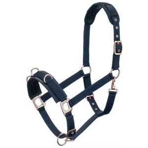 Vente en gros de qualité supérieure en cuir durable licou de cheval avec bandeau de nez rembourré en alliage de quincaillerie et licou de cheval de cou - Product Image 2